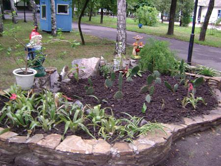 Полная свобода от родителей! Полная свобода от родителей!