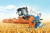 Полтавская область будет обеспечена продовольственным зерном несмотря на снижение урожайности