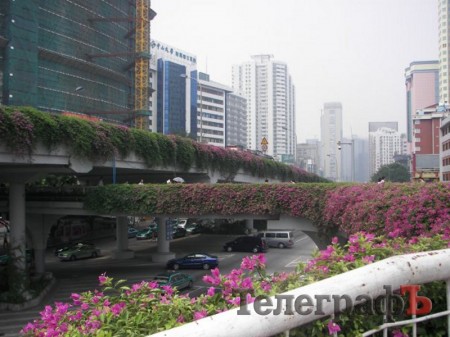 Для китайцев мы все –   на одно лицо!