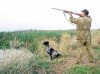 В Украине разрешили охотиться