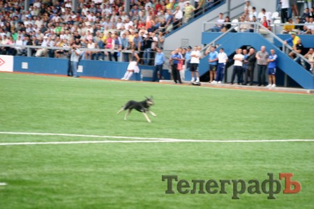 ФУТБОЛ. Чемпионат Украины. 2 лига. Полтавская битва на кременчугской земле.