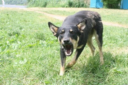 Фото:kungur-online.ru