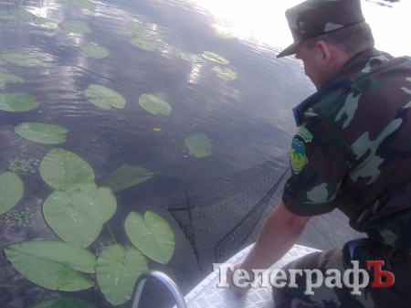 Охрана РЛП «Кременчугские плавни» уничтожила в августе 305 метров браконьерских сеток (фото)