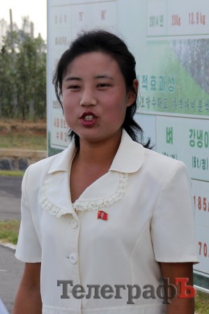 Северная Корея: ностальжи советского человека