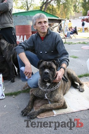 В Кременчуг за медалями съехались собаки
