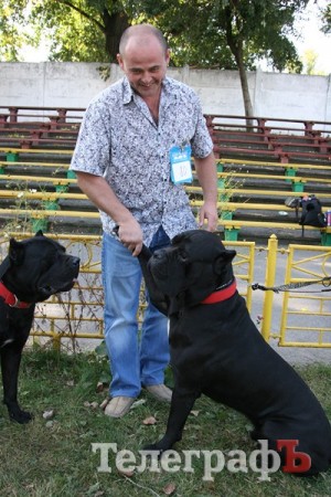 В Кременчуг за медалями съехались собаки