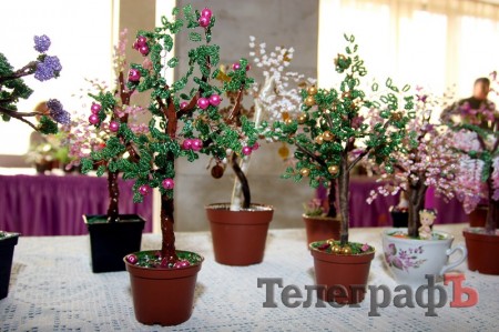 В Кременчуге открылась выставка фиалок