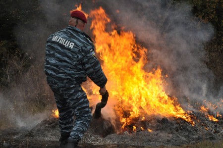 На Полтавщине милиция сожгла 17 млн грн (ФОТО)