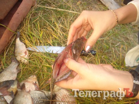 Кременчугский милиционер 5 часов просидел на кочке в костюме «кикиморы», чтобы поймать браконьеров с электроудочкой (ФОТО)