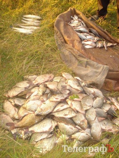 Кременчугский милиционер 5 часов просидел на кочке в костюме «кикиморы», чтобы поймать браконьеров с электроудочкой (ФОТО)