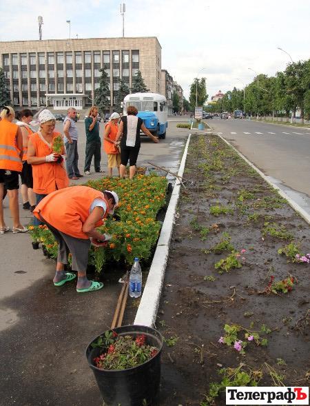 уборка роз по ул.Ленина уборка роз по ул.Ленина