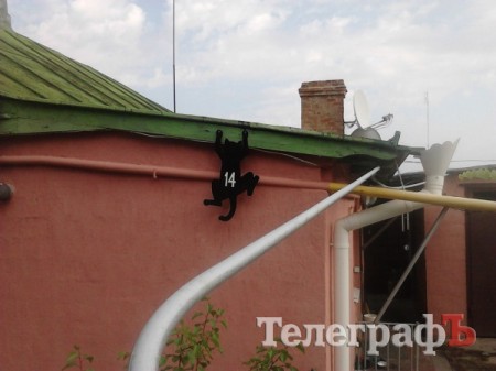 Приколы нашего городка: номерной кот (ФОТО)