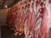 «Кременчугмясо» сдало образцы продукции для независимого аудита производителей мяса и мясопродуктов