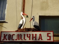 На Космической улице в Кременчуге поселилась Баба Яга (ФОТО)