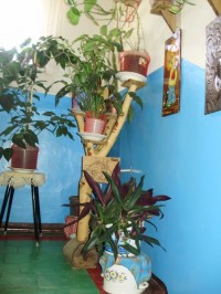 На Космической улице в Кременчуге поселилась Баба Яга (ФОТО)