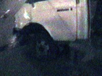 В Кременчуге столкнулось три автомобиля (ДОПОЛНЕНО, ФОТО)