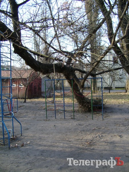 В Кременчуге дерево упало рядом с детским садиком (УТОЧНЕНО)