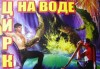 Цирк на воде в Кременчуге