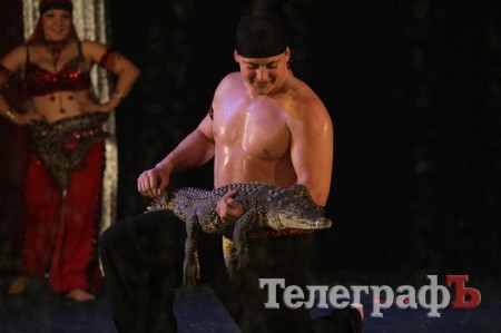 Цирк на воде