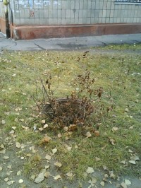 Разрытые улицы Молодежного и ямы вместо люков (ФОТОФАКТ)