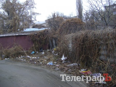 Мусор во дворе который примыкает к лицею №11