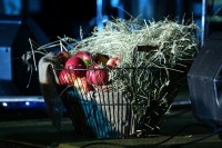 Кременчугкий джаз-бенд «Apple Jam» выпустил альбом «Колоритми джазу» (ФОТО)