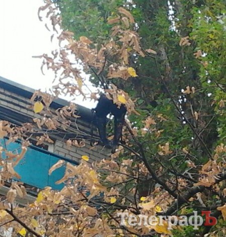 Приколы нашего городка: "Пикантный пейзаж из окна" (ФОТО)