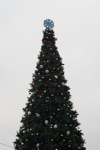 В Кременчуге открыли главную елку (ФОТОРЕПОРТАЖ)