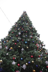 В Кременчуге открыли главную елку (ФОТОРЕПОРТАЖ)