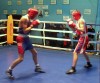 БОКС. «Олимпийская надежда» для кременчужан.