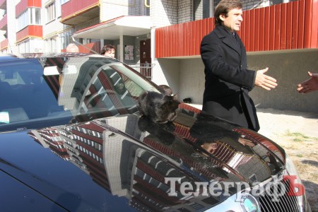 Приколы нашего городка: животные на колёсах (ФОТО)