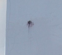 В новогоднюю ночь в Кременчуге неизвестные подожгли синагогу (ФОТО)