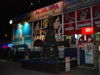 В Кременчуге определили самую красивую елку (ФОТО)