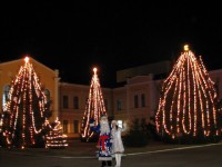 В Кременчуге определили самую красивую елку (ФОТО)