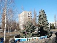 В Кременчуге определили самую красивую елку (ФОТО)
