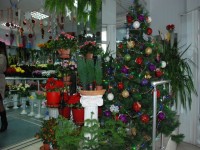 В Кременчуге определили самую красивую елку (ФОТО)