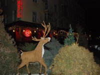 В Кременчуге определили самую красивую елку (ФОТО)