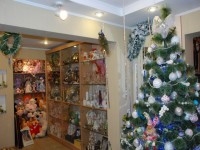 В Кременчуге определили самую красивую елку (ФОТО)