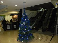 В Кременчуге определили самую красивую елку (ФОТО)