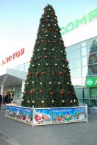 В Кременчуге определили самую красивую елку (ФОТО)