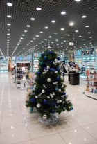 В Кременчуге определили самую красивую елку (ФОТО)