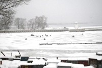 Зима-2012 в Кременчуге (ФОТОРЕПОРТАЖ)