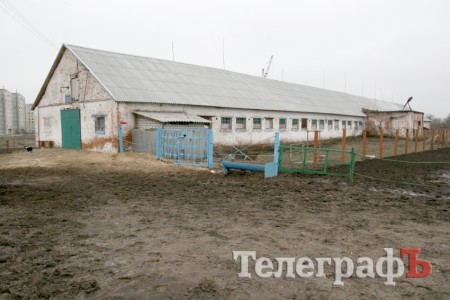  Конно-спортивная школа "Фаворит"