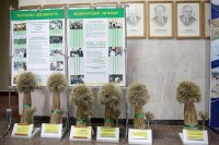 В мэрии стелют ковры Януковичу (ФОТО)