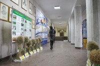 В мэрии стелют ковры Януковичу (ФОТО)
