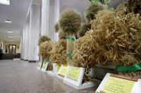 В мэрии стелют ковры Януковичу (ФОТО)