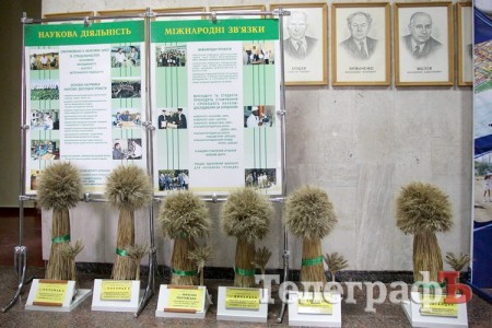 В мэрии стелют ковры Януковичу (ФОТО)