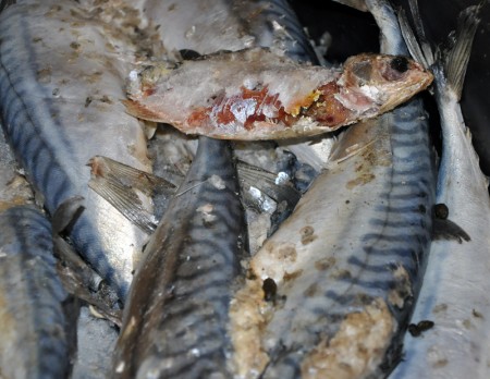  Фото с сайта mia-pl.gov.ua