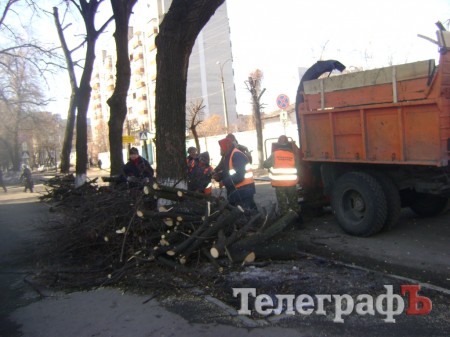 В Кременчуге снова режут липы (ФОТО)