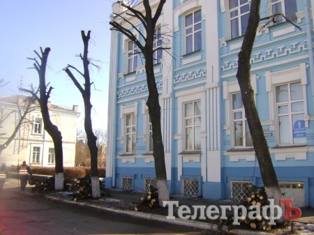 В Кременчуге снова режут липы (ФОТО)